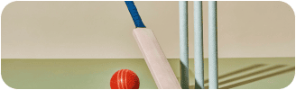 An exciting cricket game that will grab your attention from the first hit!